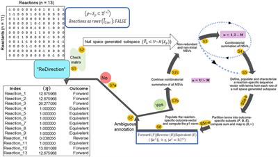 ReDirection: an R-package to compute the probable dissociation constant for every reaction of a user-defined biochemical network